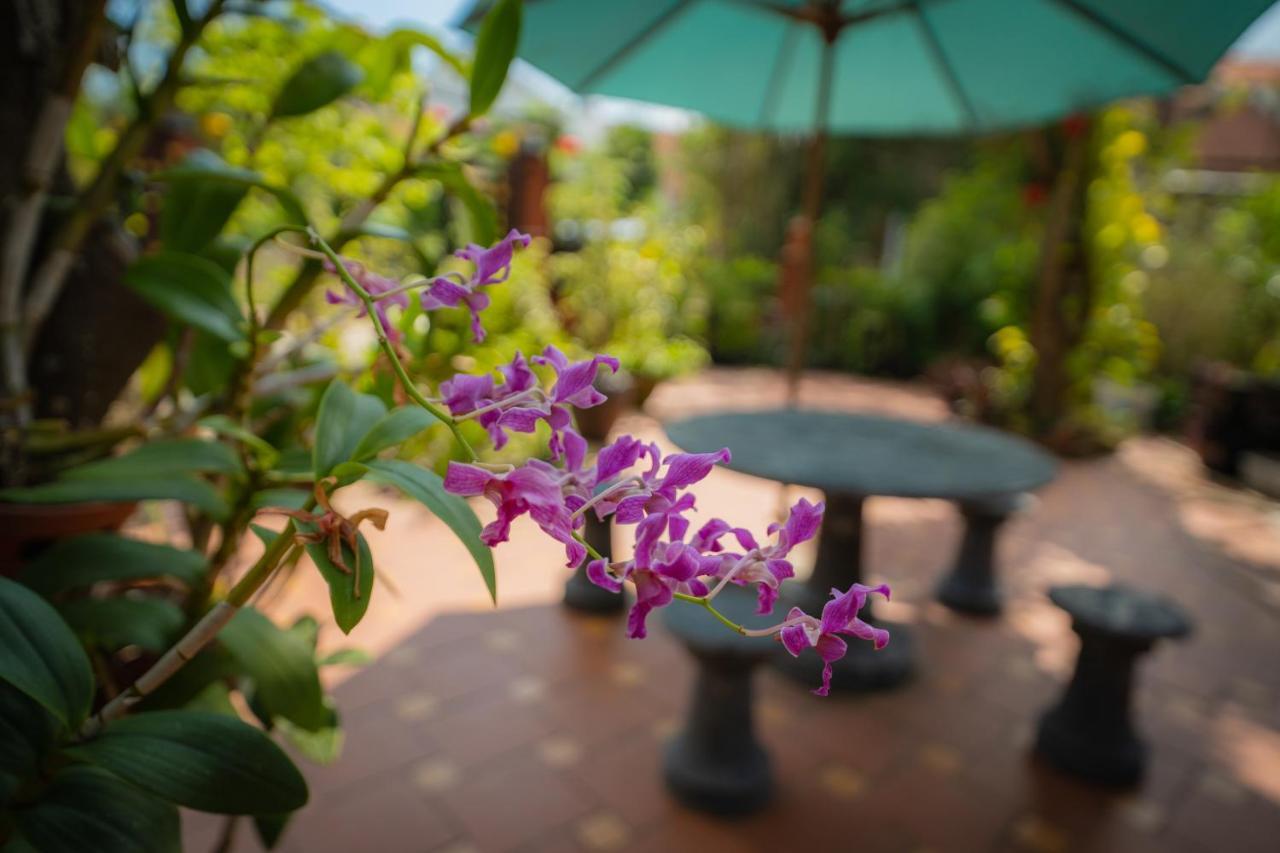 Strawberry Garden Homestay ฮอยอัน ภายนอก รูปภาพ